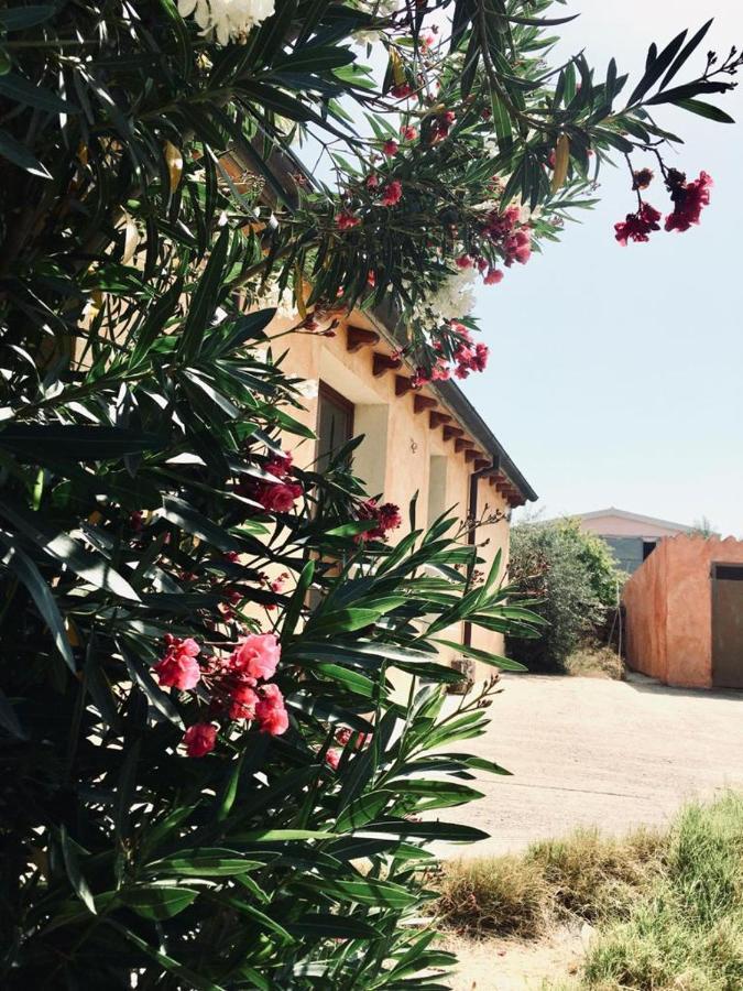 Agriturismo Funtan'Arva Loculi エクステリア 写真